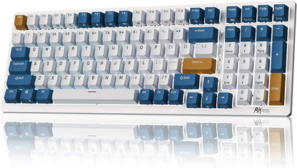 RK98 Wireless Mechanical Keyboard, Tri-Mode 2.4G/BT5.1/USB-C Hot Swappable Full Size Keyboard, RGB Backlit Gaming Keyboard, Massive Battery Software Support, Brown Switch